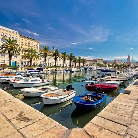 Dalmatian 230m2 With Pool And Garden Near The Old Town For Families Apartment