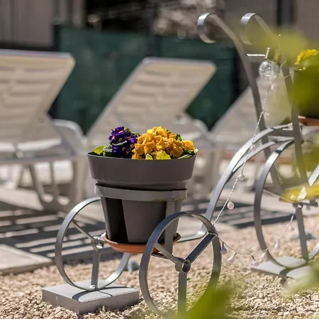 Apartment Dalmatian 230m2 With Pool And Garden Near The Old Town For Families *