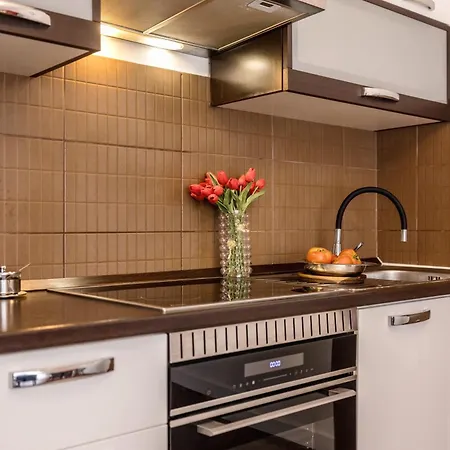 Dalmatian 230m2 With Pool And Garden Near The Old Town For Families Appartement