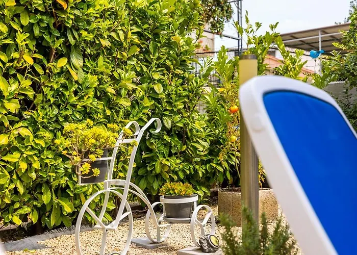 Dalmatian 230m2 With Pool And Garden Near The Old Town For Families *